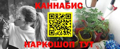 дмт Дубна