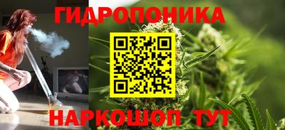 дмт Дубна