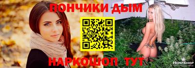 дмт Дубна