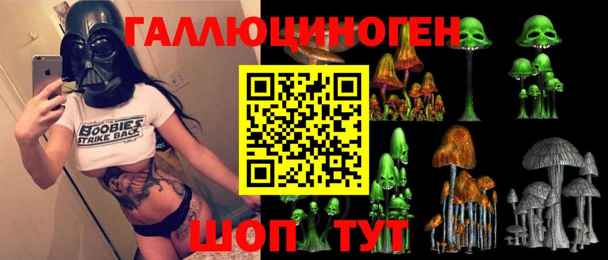 Галлюциногенные грибы прущие грибы  Вход с VPN  Малгобек  Галлюциногенные грибы Psilocybe 